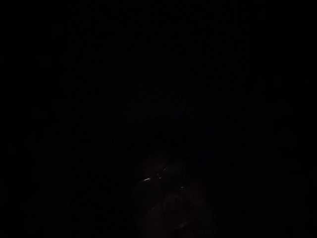 LynnMonica's BongaCams show and profile