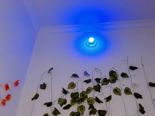 Sabrinaolsons Porn Show