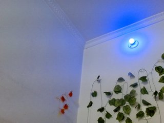 Sabrinaolsons Porn Show