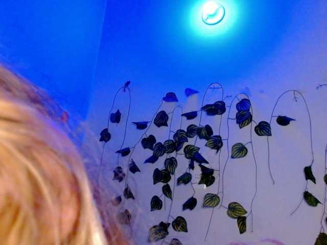 Sabrinaolsons's BongaCams show and profile