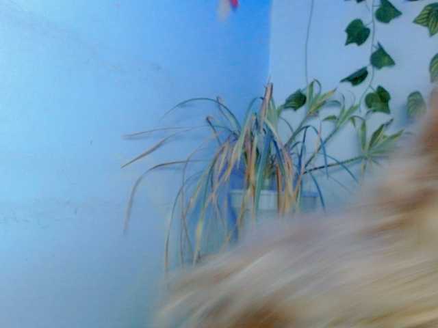 Sabrinaolsons's BongaCams show and profile