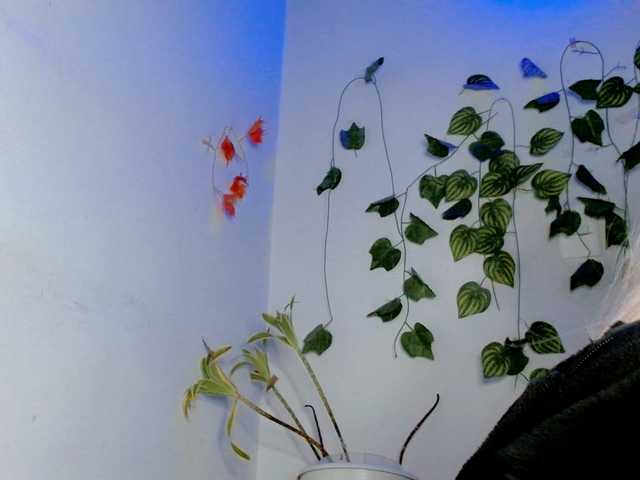 Sabrinaolsons's BongaCams show and profile