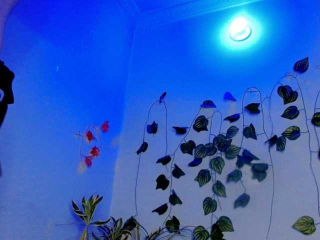 Sabrinaolsons's BongaCams show and profile