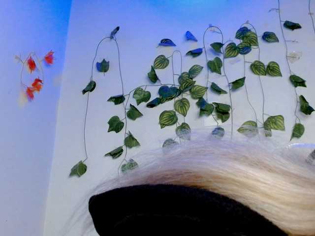 Sabrinaolsons's BongaCams show and profile