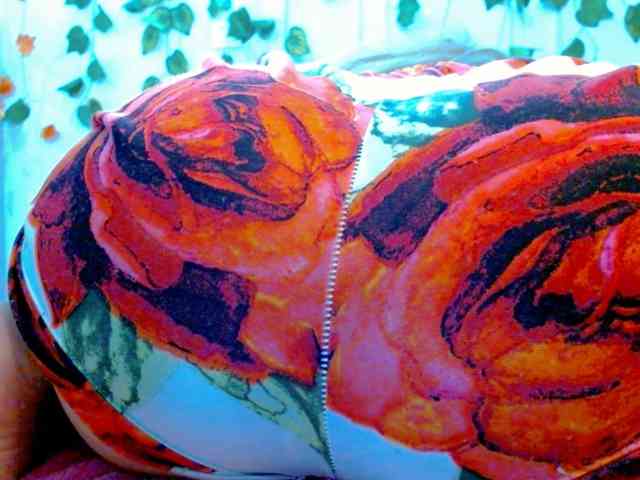 Sabrinaolsons webcam