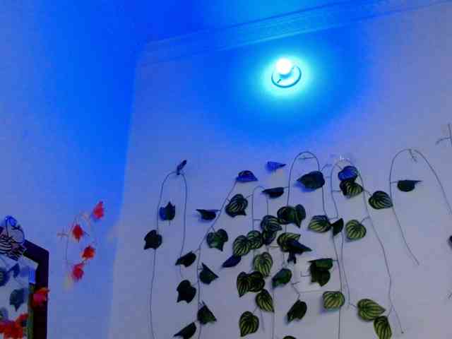 Sabrinaolsons webcam