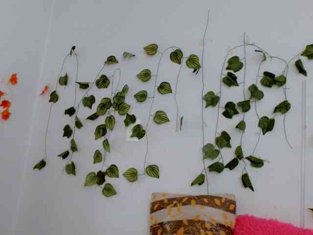 Sabrinaolsons webcam