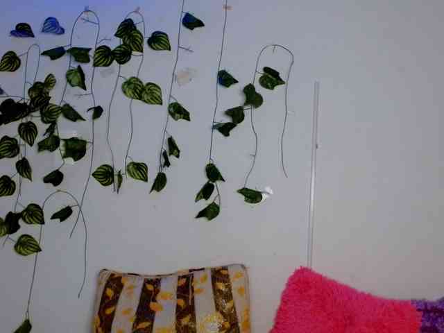 Sabrinaolsons webcam