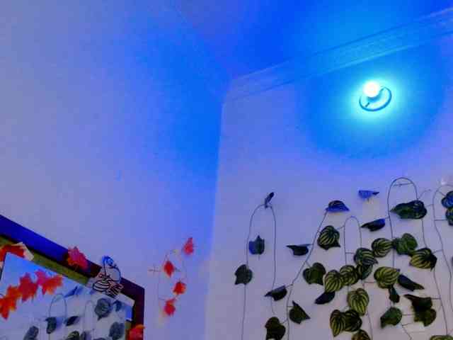 Sabrinaolsons webcam