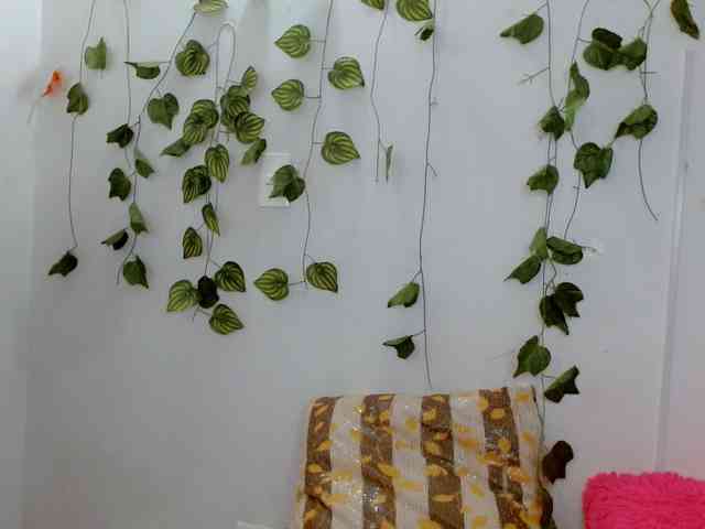 Sabrinaolsons webcam