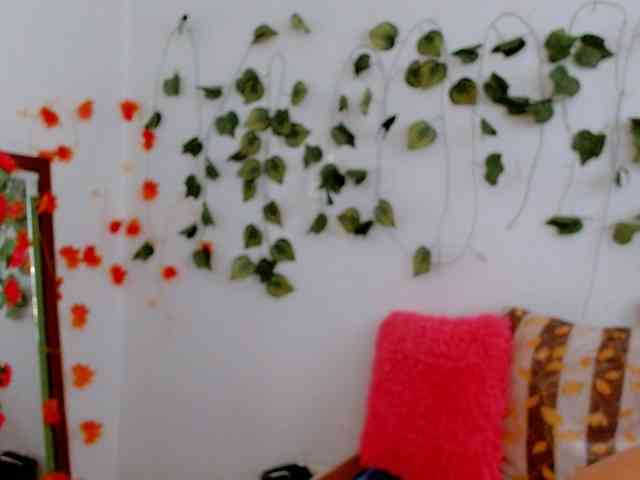 Sabrinaolsons webcam