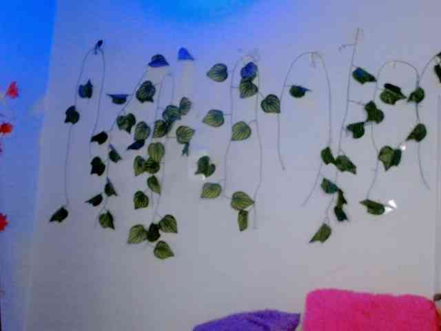 Sabrinaolsons webcam