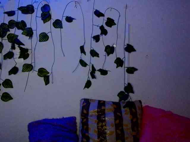 Sabrinaolsons webcam