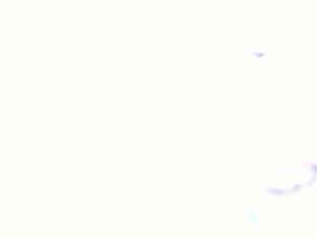 Sabrinaolsons webcam