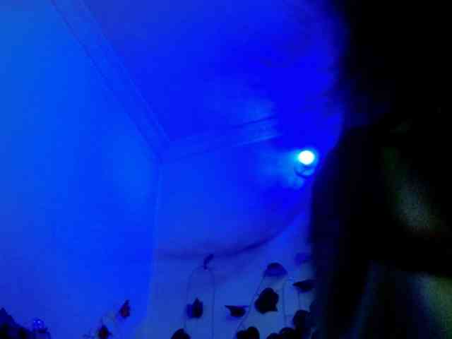 Sabrinaolsons webcam