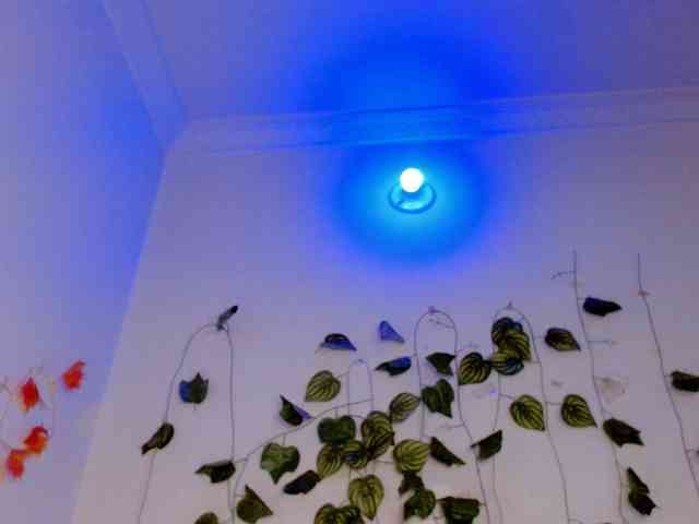 Sabrinaolsons webcam