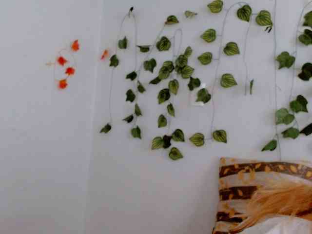 Sabrinaolsons webcam