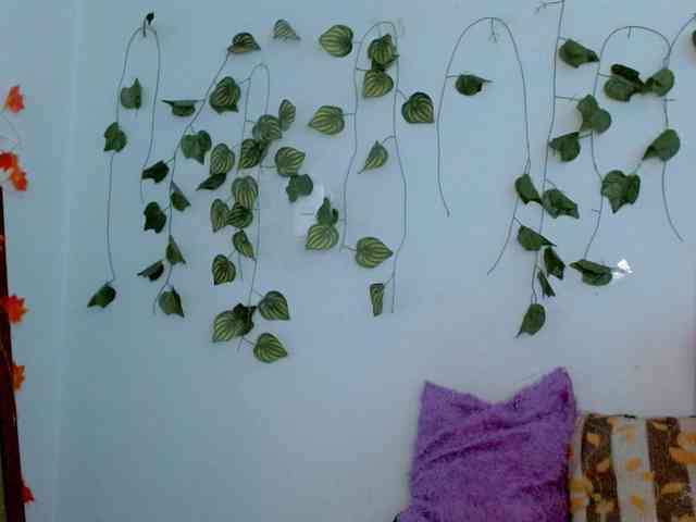 Sabrinaolsons webcam