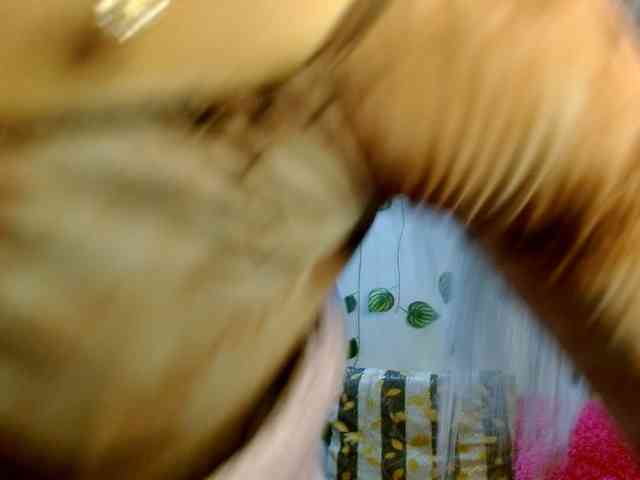 Sabrinaolsons webcam