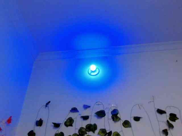 Sabrinaolsons webcam