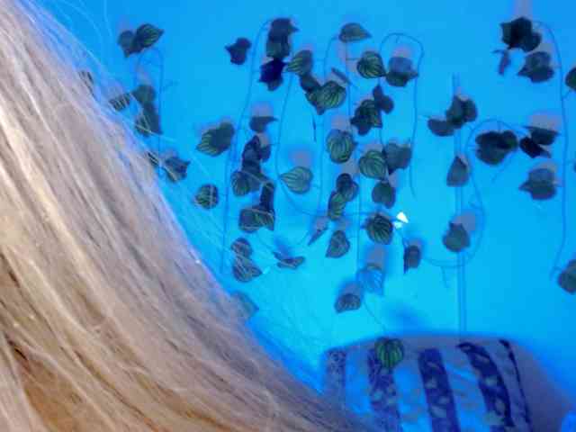 Sabrinaolsons webcam