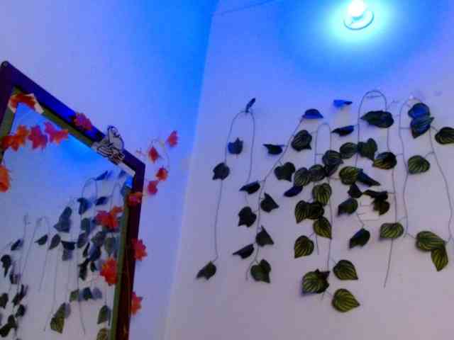 Sabrinaolsons webcam