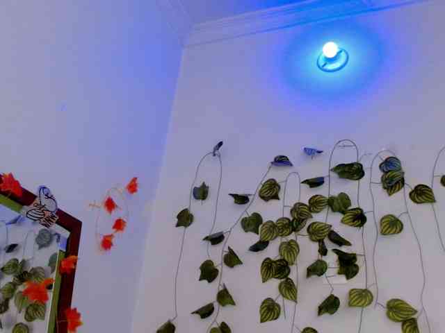 Sabrinaolsons webcam