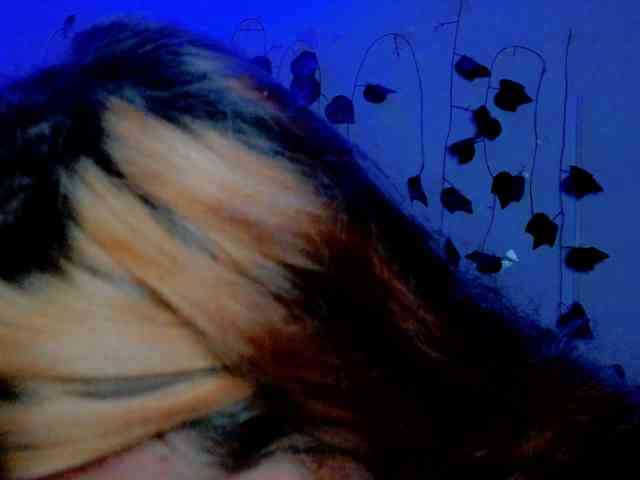 Sabrinaolsons webcam