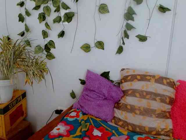 Sabrinaolsons webcam