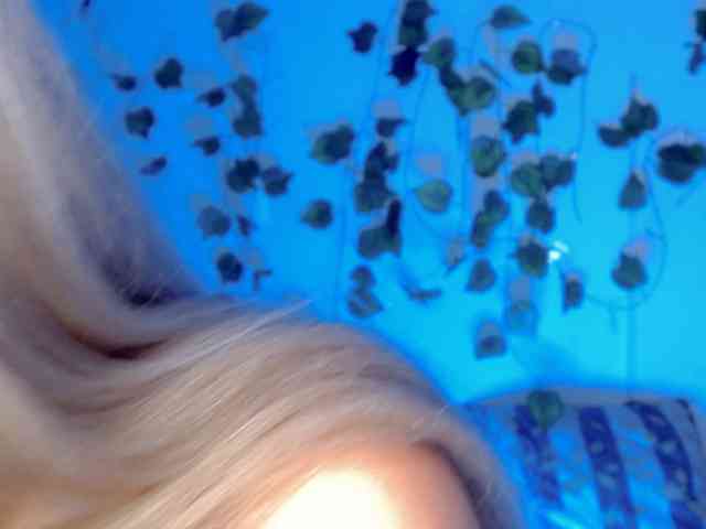 Sabrinaolsons webcam