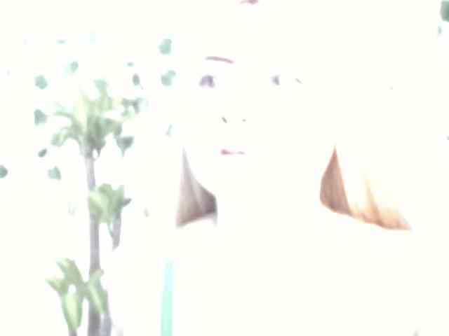 Sabrinaolsons webcam