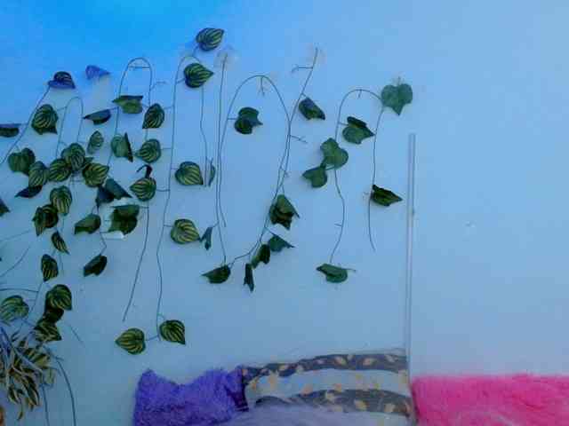 Sabrinaolsons webcam