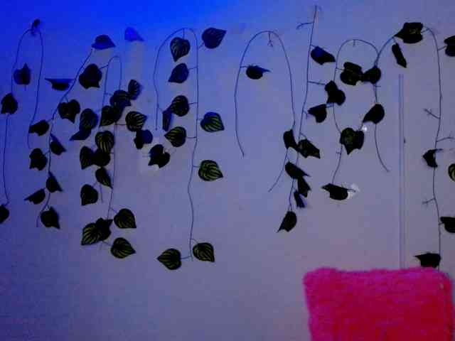 Sabrinaolsons webcam