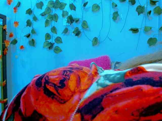 Sabrinaolsons webcam