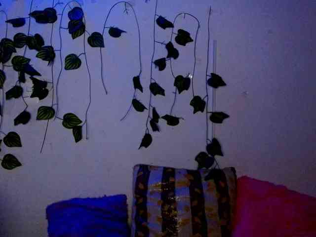 Sabrinaolsons webcam