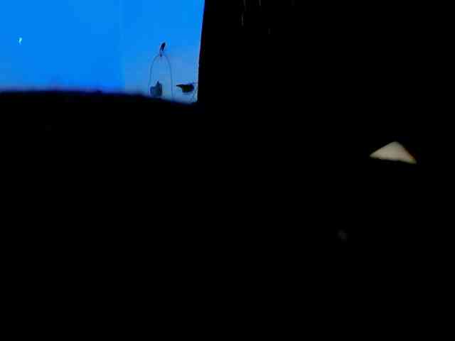 Sabrinaolsons webcam