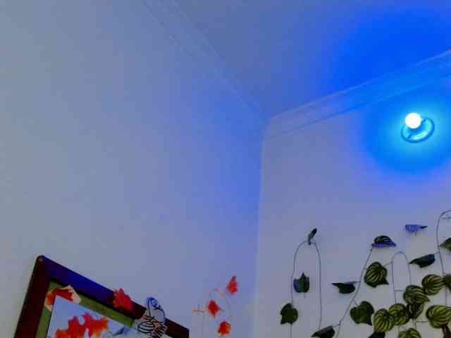 Sabrinaolsons webcam