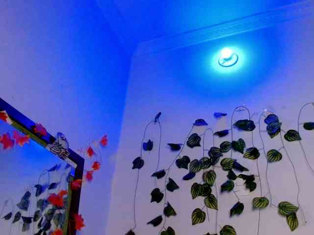 Sabrinaolsons webcam