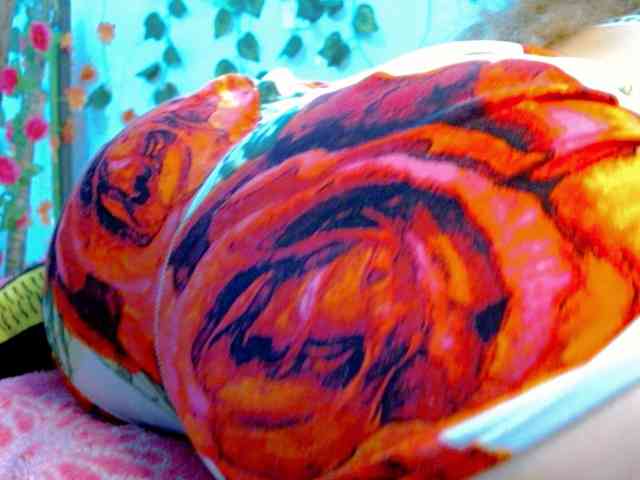 Sabrinaolsons webcam