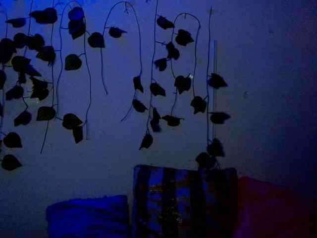 Sabrinaolsons webcam