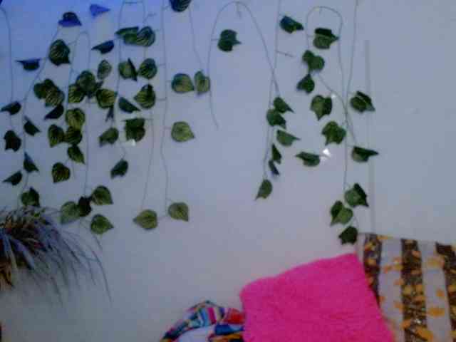 Sabrinaolsons webcam