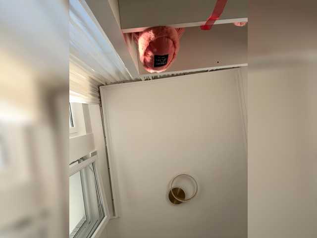 Foxe-Sailey's BongaCams show and profile