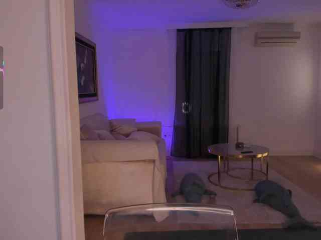 Foxe-Sailey Foxe-Sailey