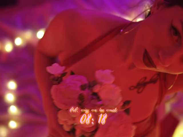 DianaMurr's BongaCams show and profile