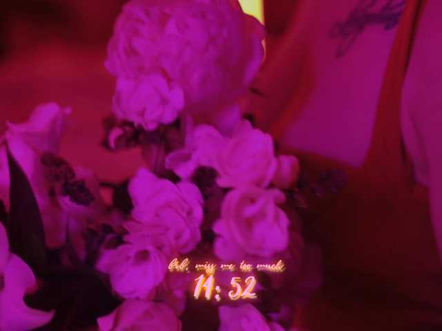 DianaMurr's BongaCams show and profile