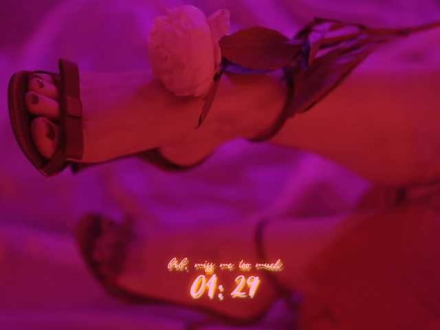 DianaMurr from BongaCams is Freechat