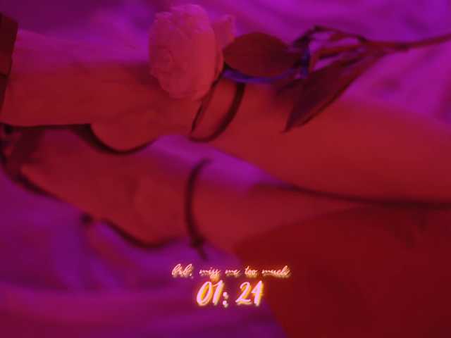 DianaMurr's BongaCams show and profile