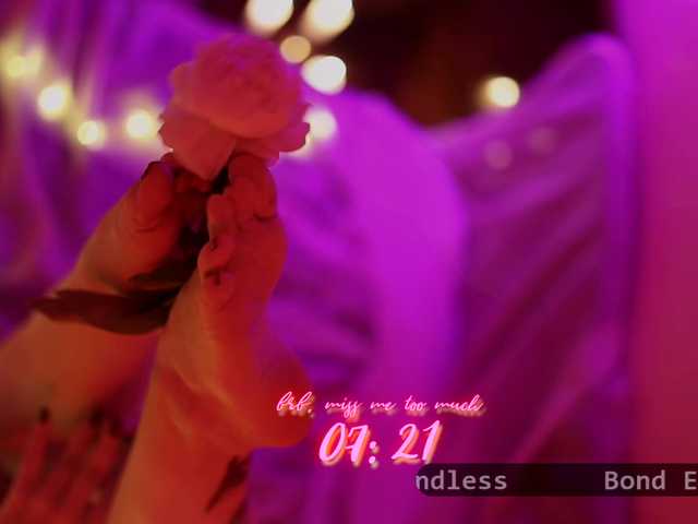 DianaMurr's BongaCams show and profile