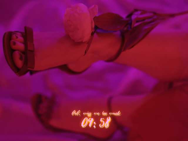 DianaMurr's BongaCams show and profile