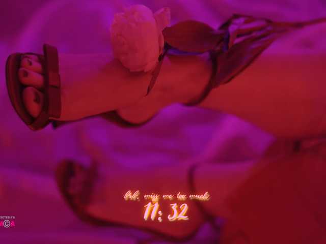 DianaMurr's BongaCams show and profile